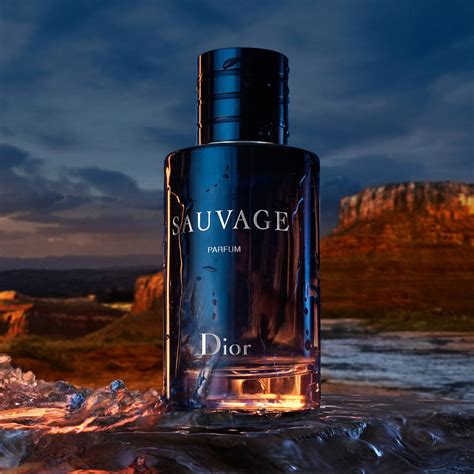 is dior sauvage cologne|Dior Sauvage cheapest price 100ml.